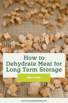 the words how to dehydraate meat for long term storage are in white letters