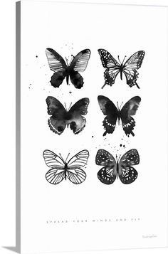 four black and white butterflies with the words,'this is an image of three different types