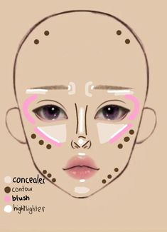 Makeup Placement, Makeup Cheat Sheets, Wrong Decision, Asian Makeup Tutorials, Face Charts, Learn Makeup, Simple Makeup Tips, Cute Eye Makeup, Makeup Face Charts