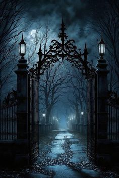 an open gate leading into a dark park at night