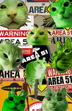 a collage of green cats with warning signs and stickers on it's face