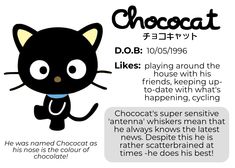 an advertisement for chocolate featuring a black cat and the caption's description in english