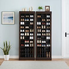 two tall wooden shelves filled with shoes next to a potted plant on the floor