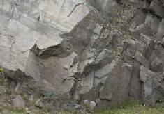 an animal standing on top of a grass covered field next to a large rock wall