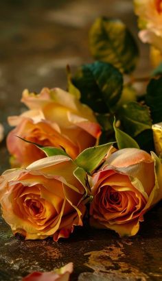 some yellow and orange roses on a table