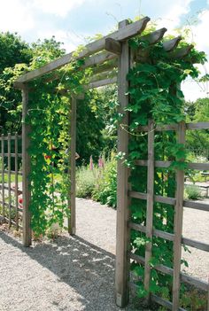 an arbor with vines growing over it in the middle of a gravel area next to a wooden fence