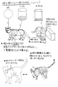 the instructions for how to make a cat with paper machs in chinese and english