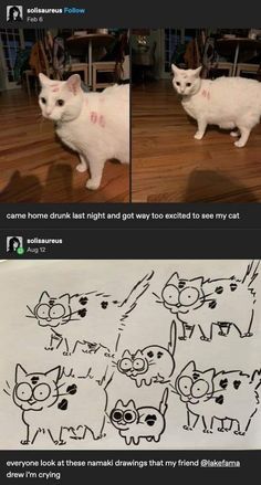 two pictures of cats that have been drawn on paper