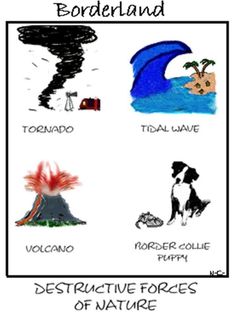 the four different types of volcanos and their names are shown in this cartoon style