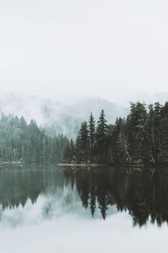 a body of water surrounded by trees and fog