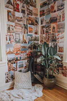 a room with a bed, plant and pictures on the wall