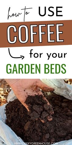 someone is digging dirt into their garden beds with text overlay that reads how to use coffee for your garden beds