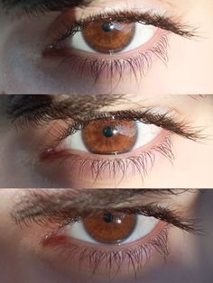 three different views of an eye with long lashes