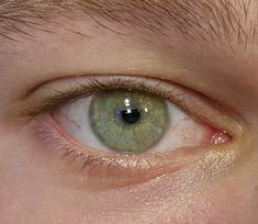 Green Eye Male Aesthetic, Green Iris Eye, Light Green Eyes Aesthetic, Sibling Ocs, Green Eyes Aesthetic, Eye Contact Quotes, Light Green Eyes, Blue Eyes Aesthetic, Iris Eye