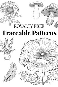 the royally free traceable patterns are available for use in crafts and coloring books