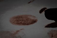 two finger prints are shown on the surface of a tablecloth that has been drawn with brown ink