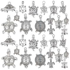 many different types of turtle charms on a white background with clippings to the side