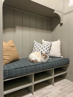 a cat sitting on top of a blue bench next to two pillows and some other items