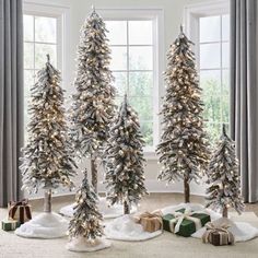 three christmas trees with lights and presents in front of them on carpeted floor next to windows