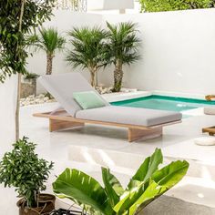 an outdoor pool with lounge chairs and potted plants in the foreground, surrounded by white stucco walls