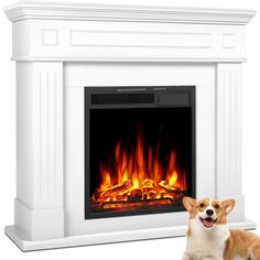 a dog laying next to a white fireplace with flames on the side and an open flame