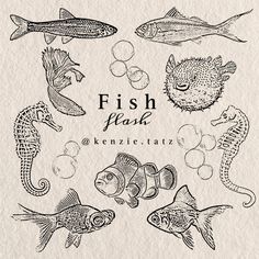 fish and sea animals are drawn on paper