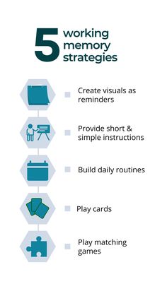 the 5 working memory stages info sheet