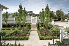 an outdoor garden with trees and bushes in front of a house on a sunny day