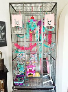 a bird cage filled with lots of colorful items