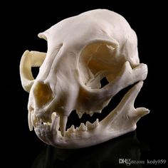 an animal's skull is shown with the words alexpresss link here on it