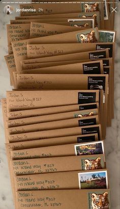 there are many mail envelopes with stamps on them that have pictures of animals in them