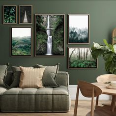 a living room with green walls and pictures hanging on the wall, including a couch