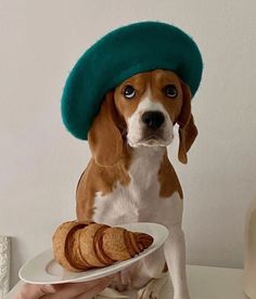 a brown and white dog wearing a green hat holding a plate with croissants on it