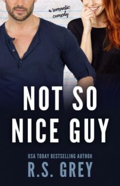 not so nice guy by r s grey