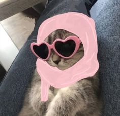 a cat wearing heart shaped sunglasses on top of it's head