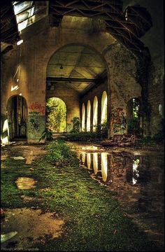 an abandoned building with grass and water in the foreground is seen from across the room