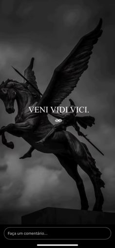 a black and white photo with the words veni vidi vici on it