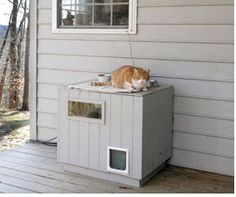 an orange and white cat is laying on top of a box in front of a house