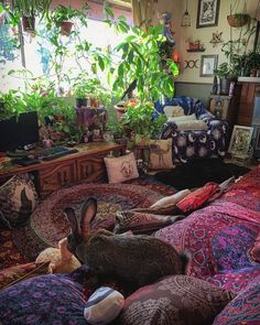 a room filled with lots of plants and stuffed animals on top of pillows in front of a window