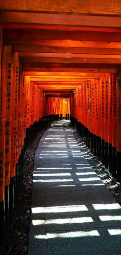 an alley lined with rows of orange and black torimika's in japan