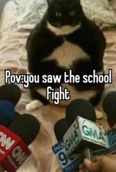 a black and white cat sitting on top of a bed next to two microphones