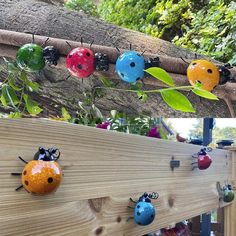 Hand-painted Metal Ladybug Wall Decor – nextdealshop.com Ladybug Decorations, Ladybug Garden, Plant Bags, Wild Bird Feeders, Hummingbird Flowers, Floating Lights, Pot Hanger, Fruit Flowers, Humming Bird Feeders