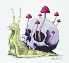 a drawing of a snail crawling next to a skull with mushrooms growing out of it