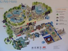 a map of the zoo is shown with information about its surroundings and locations on it