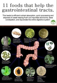 Foods that are good for the digestive system. Healthy Colon, Digestive Juice, Colon Health, Slippery Elm, Colon Cleanse, Organic Farming, Back To Nature, Natural Medicine