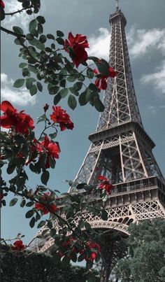 the eiffel tower is surrounded by red flowers