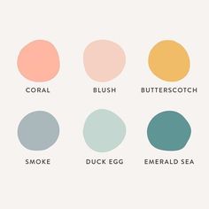 Color Scheme Feminine Home Color Scheme, Fertility Color Palette, Pink And White Color Scheme, Muted Beach Color Palette, Vintage Color Palette Retro, Mint Green Color Scheme, Light And Airy Color Palette, Gender Neutral Color Palette, Color Palette 2024