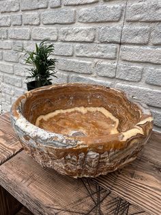 a large bowl sitting on top of a wooden table next to a plant in a pot