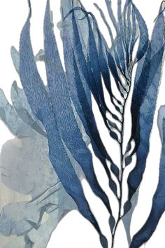 an abstract painting of blue leaves on a white background