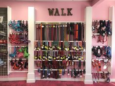 a walk in closet filled with lots of different colored shoes and bras hanging on the wall